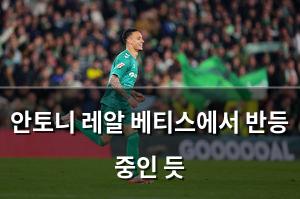 검색엔진최적화