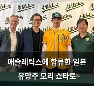검색엔진최적화