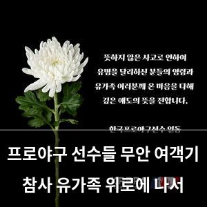 검색엔진최적화