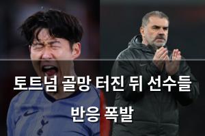 백링크