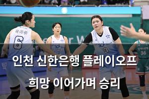 네이버SEO