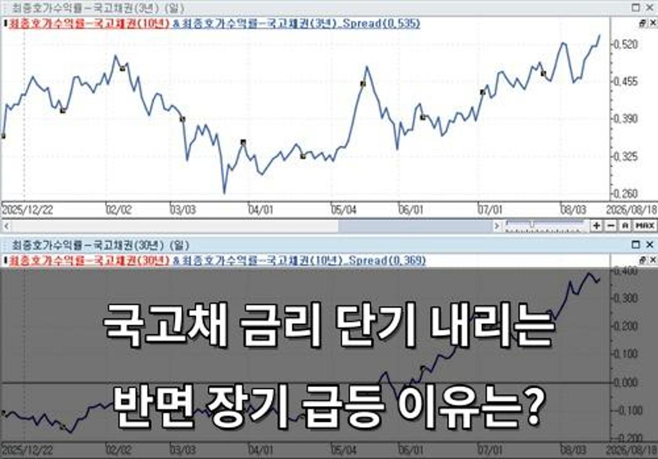 강남 달토