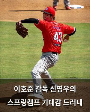 백링크