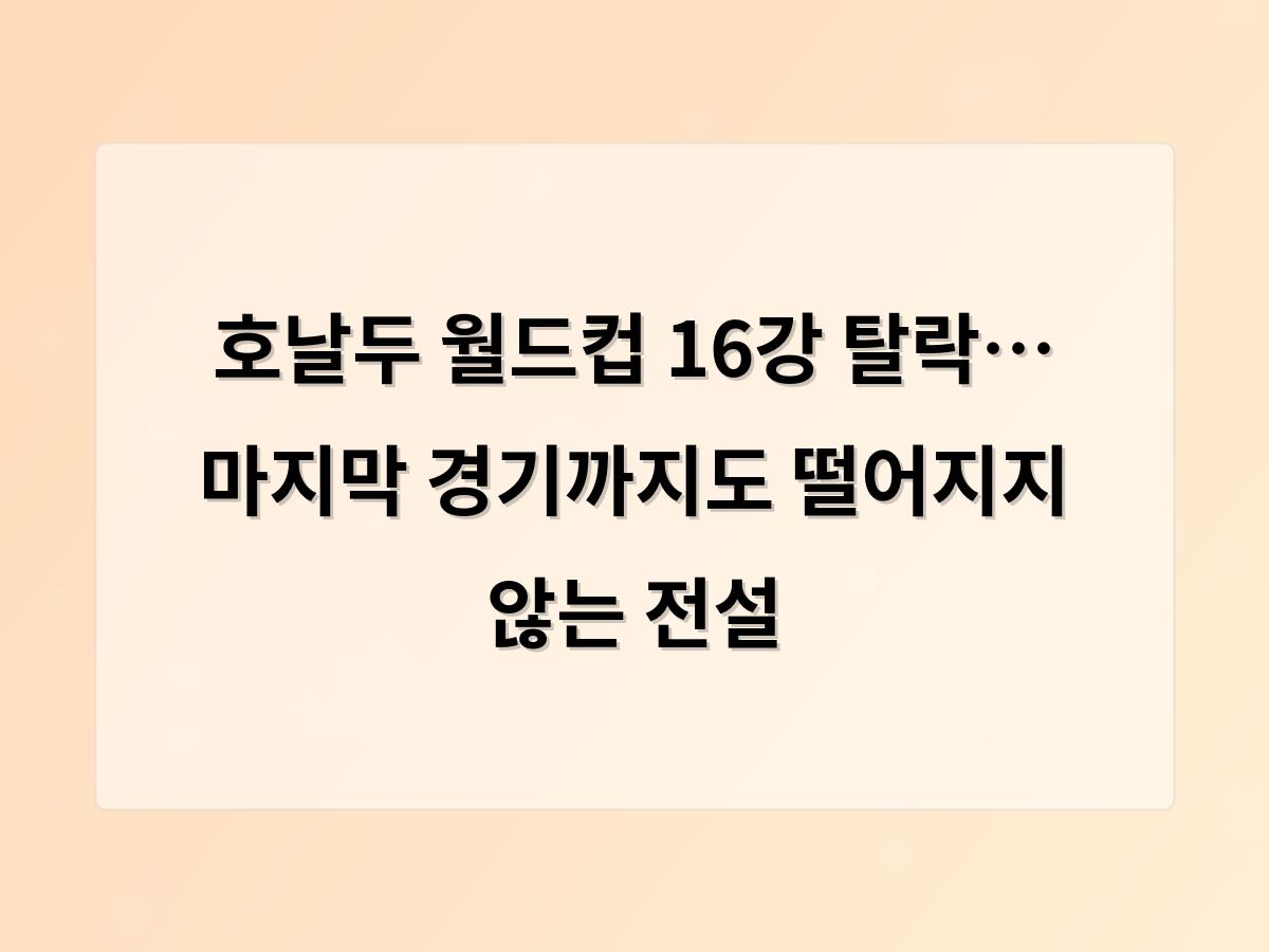 디알소프트 홈페이지제작