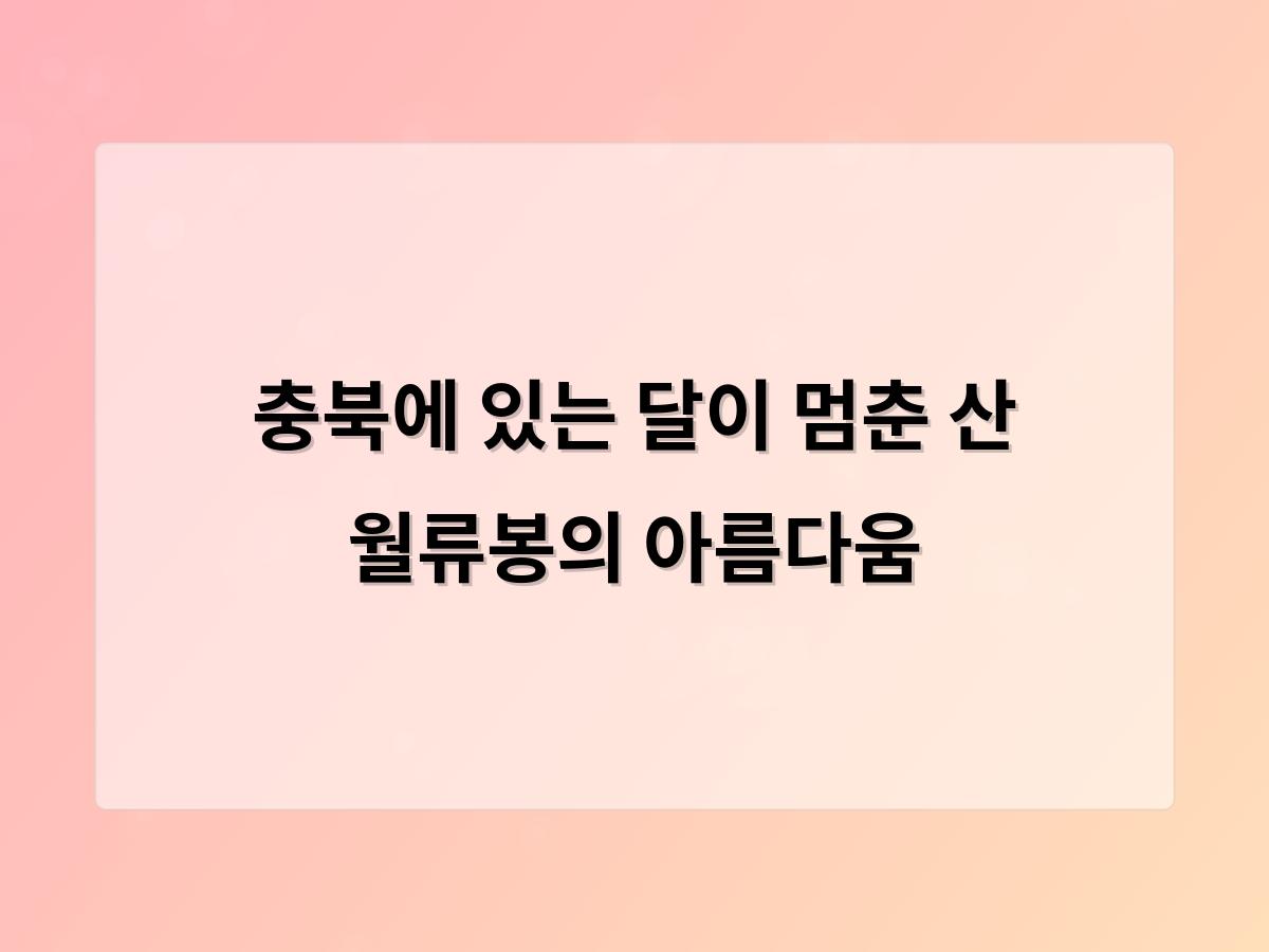 디알소프트 홈페이지제작