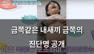 네이버SEO