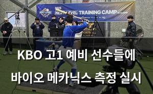 네이버SEO