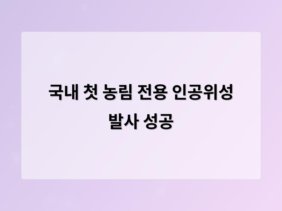 디알소프트 홈페이지제작