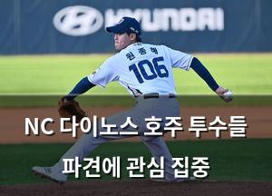 백링크