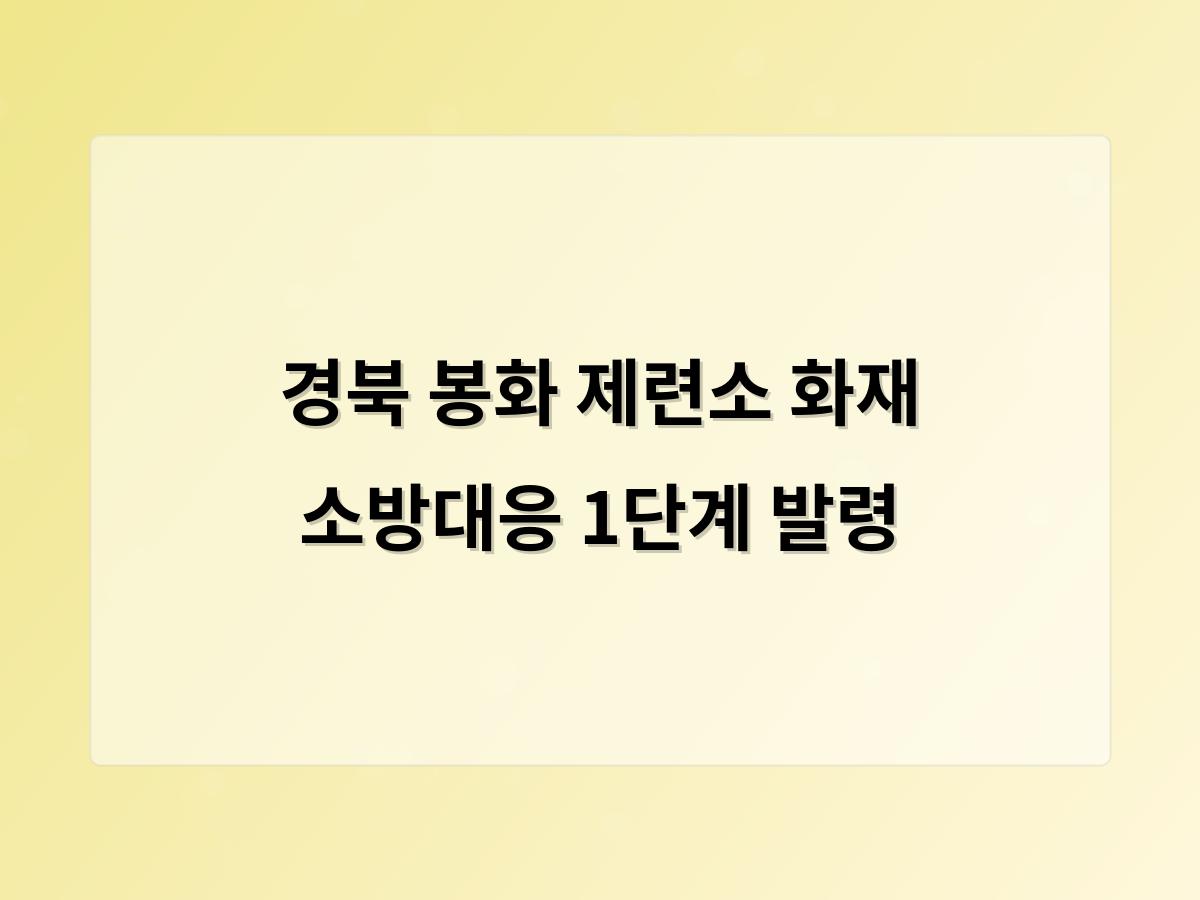 디알소프트 홈페이지제작