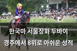 검색엔진최적화