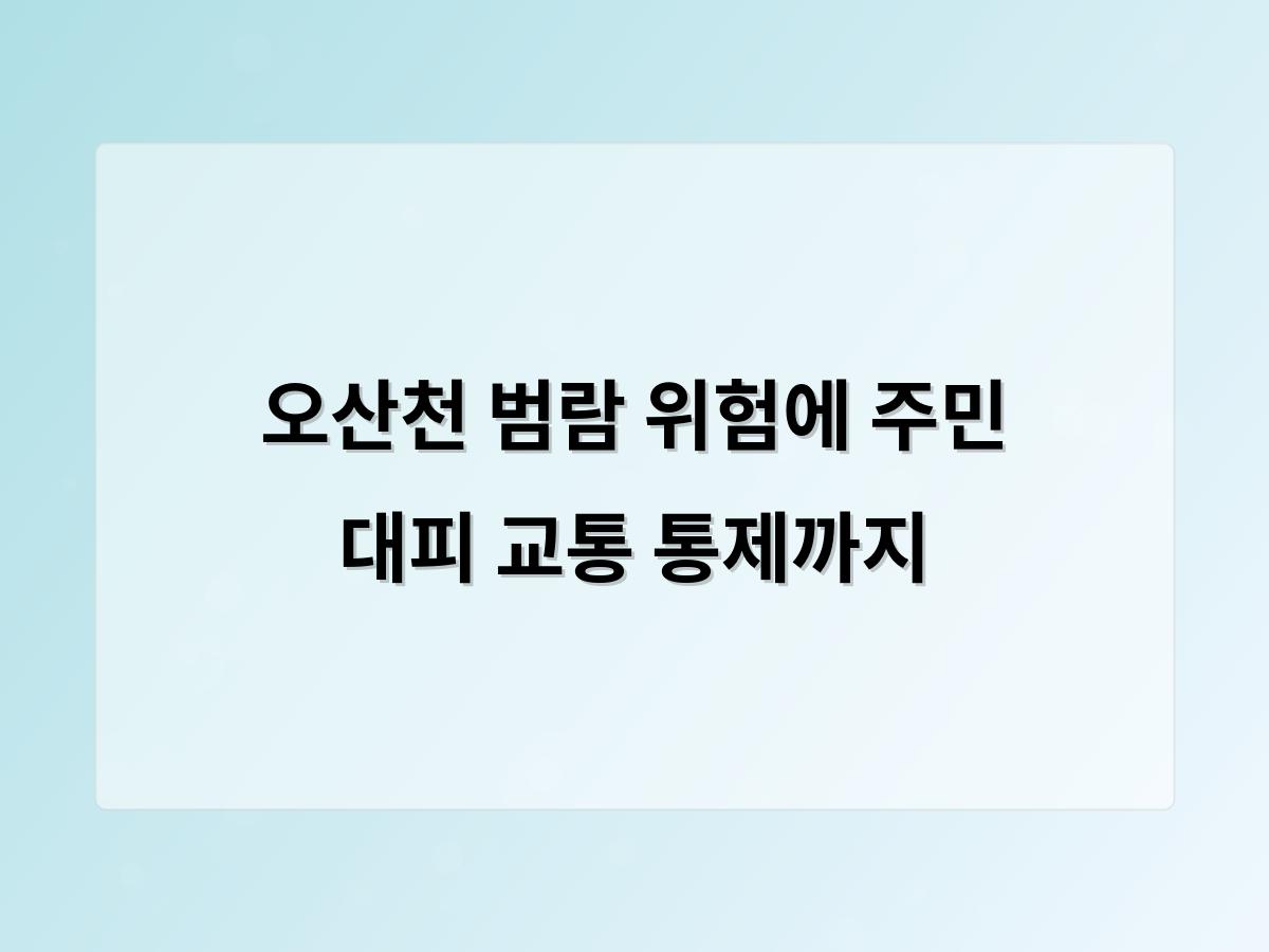 디알소프트 홈페이지제작
