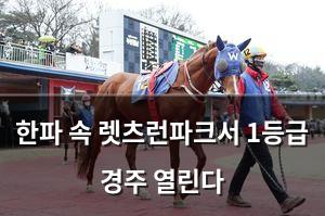 검색엔진최적화