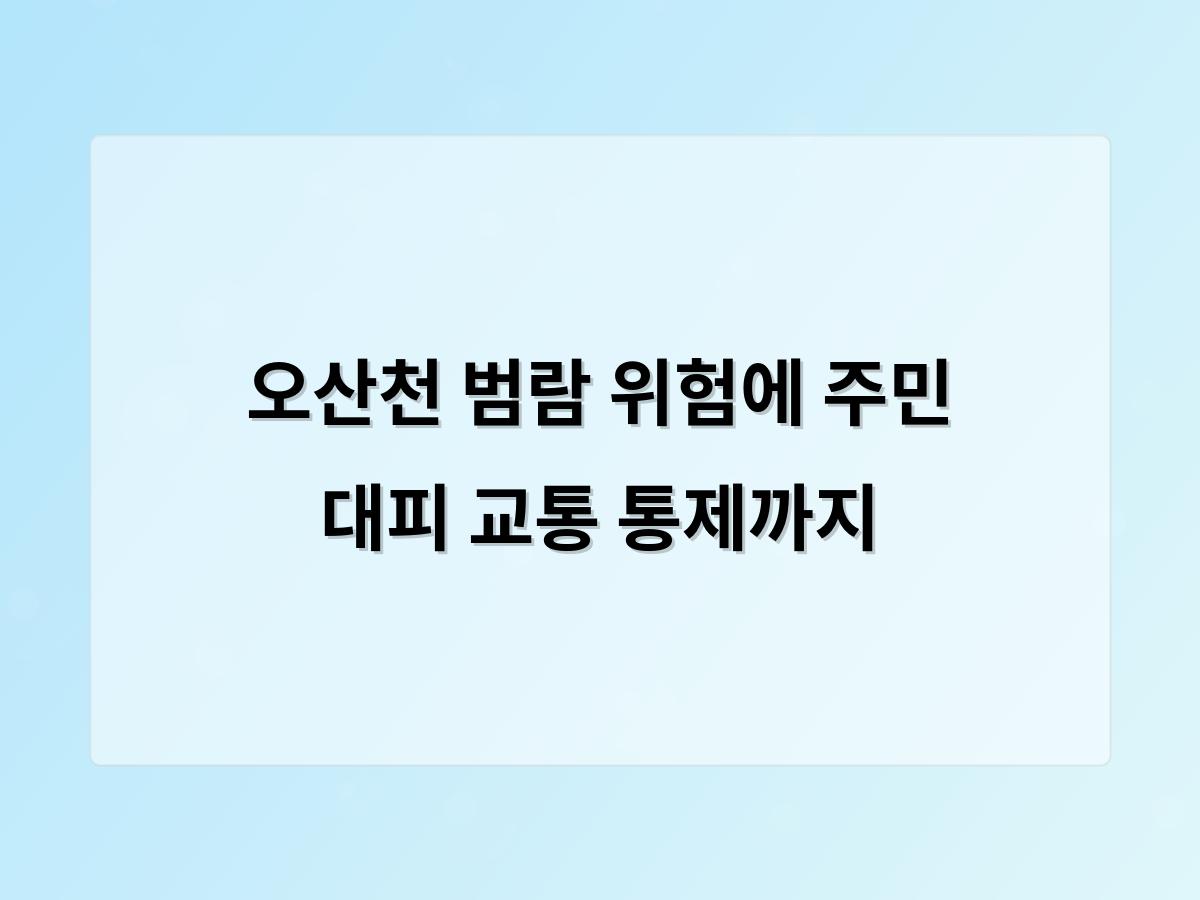 디알소프트 홈페이지제작