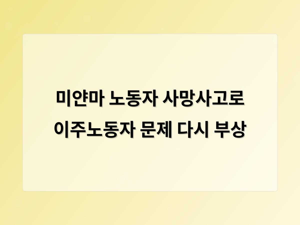 디알소프트 홈페이지제작