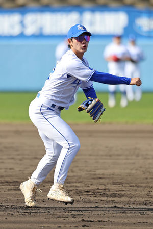 네이버SEO