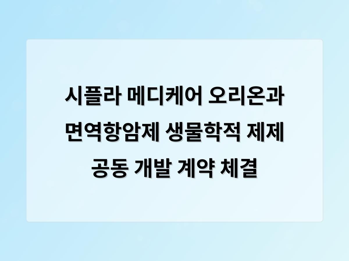 네이버SEO