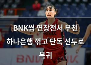 백링크