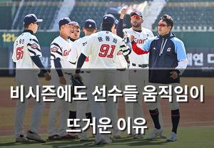 백링크