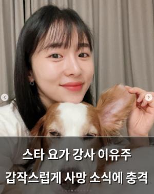 백링크