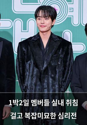 백링크
