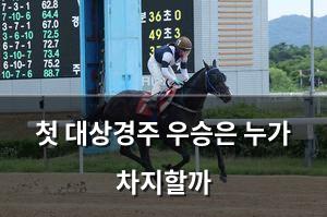 빅데이터
