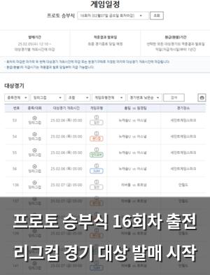검색엔진최적화
