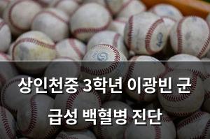 검색엔진최적화