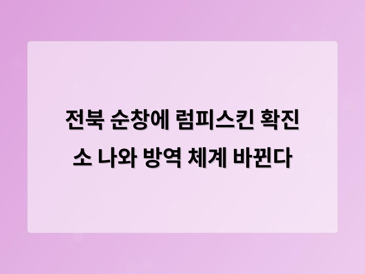 디알소프트 홈페이지제작