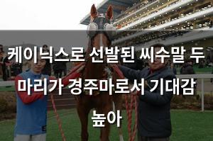 구글SEO