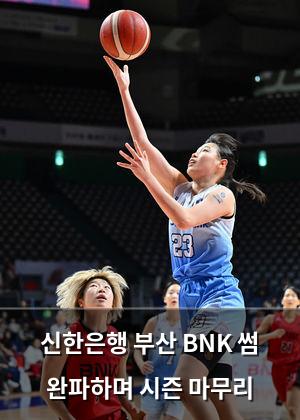 백링크