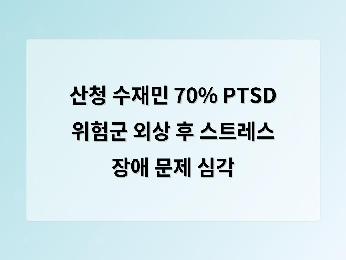 디알소프트 홈페이지제작