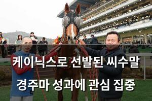 머신러닝