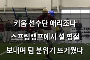 백링크