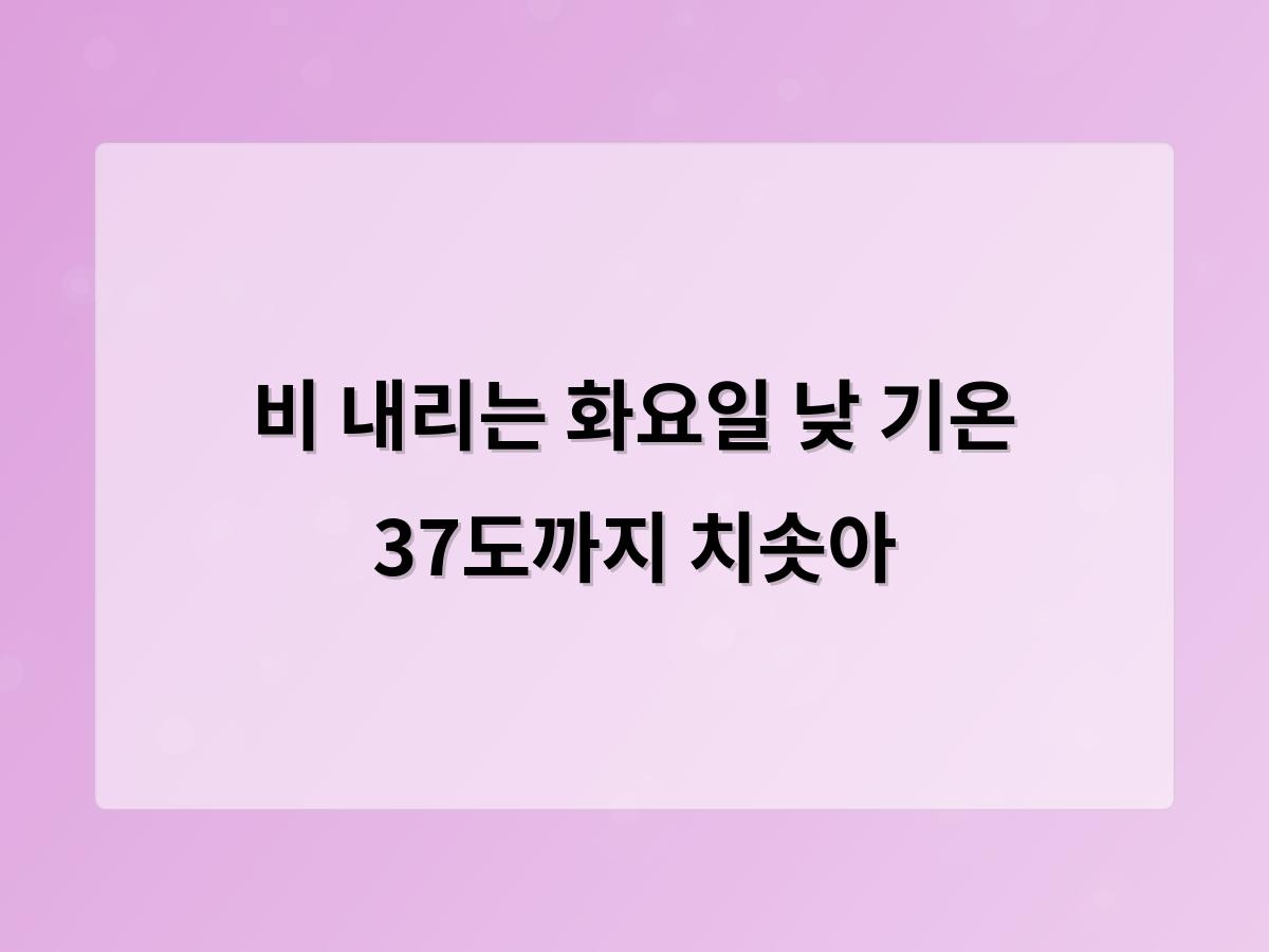 디알소프트 홈페이지제작