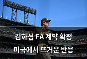 백링크