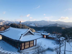 네이버SEO