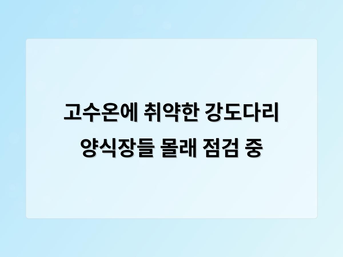 디알소프트 홈페이지제작