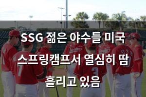 네이버SEO