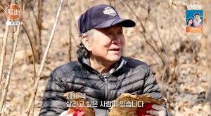 백링크