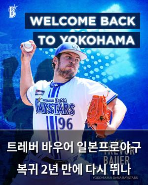 네이버SEO